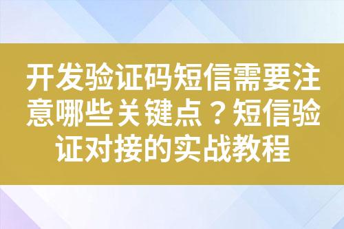 開(kāi)發(fā)驗(yàn)證碼短信需要注意哪些關(guān)鍵點(diǎn)？短信驗(yàn)證對(duì)接的實(shí)戰(zhàn)教程