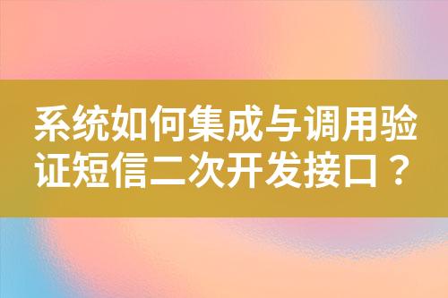 系統(tǒng)如何集成與調(diào)用驗(yàn)證短信二次開(kāi)發(fā)接口？
